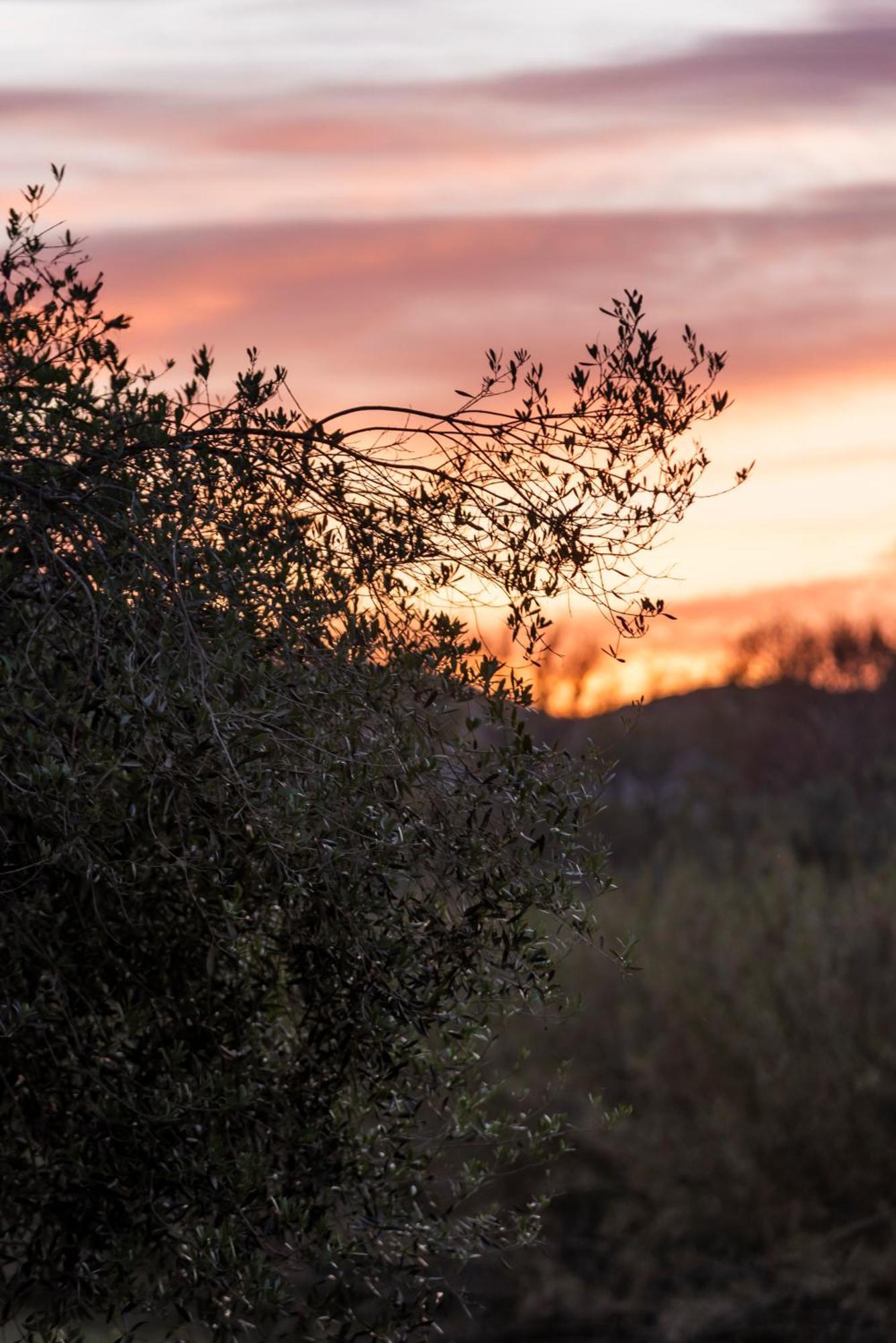 Katerina'S Sunset Apartment Episkopiana  部屋 写真